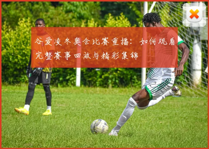 谷爱凌冬奥会比赛重播：如何观看完整赛事回放与精彩集锦